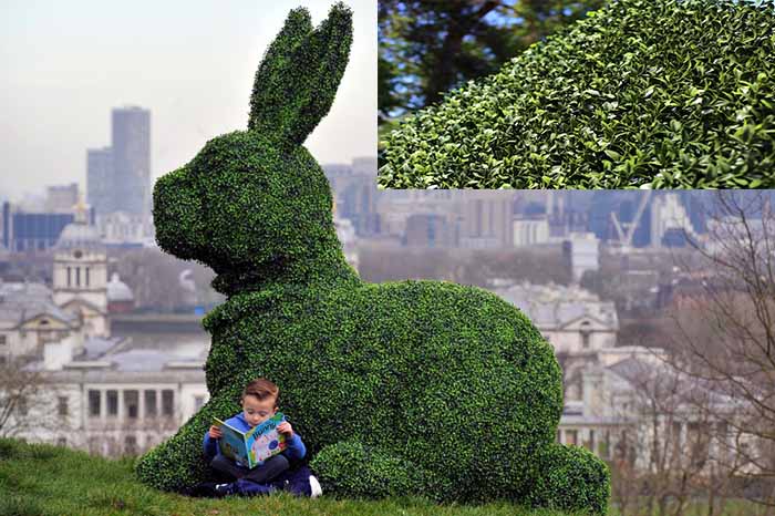 We make custom topiaries - Easter Bunny Hero topiary in artificial boxwood 